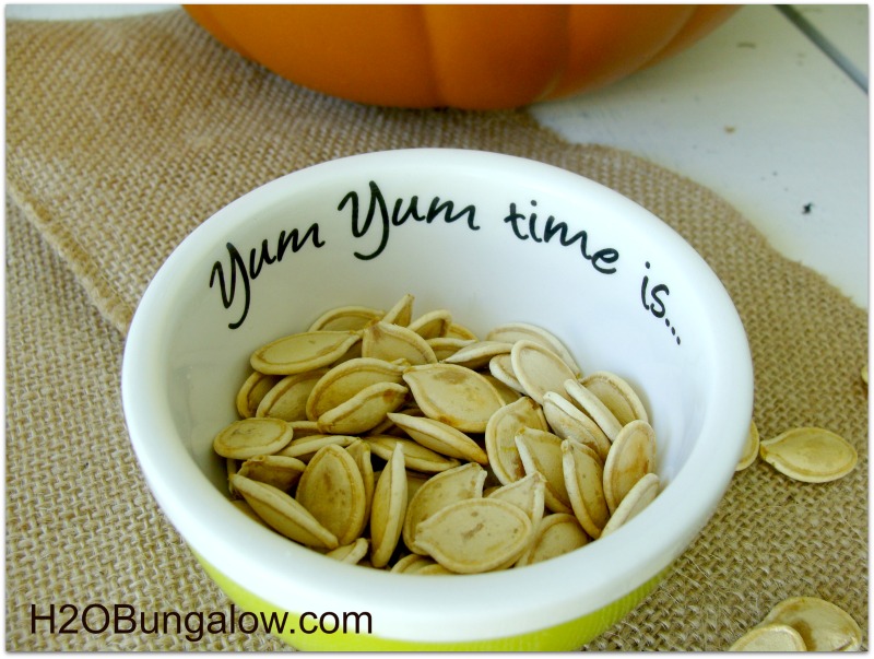 roasted pumpkin seeds