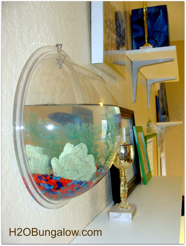 tween makeover fishbowl