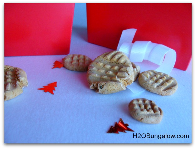 healthy dog biscuits for sensitive tummys gift