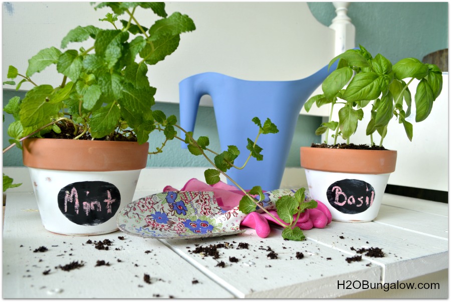 TerraCotta Herb Planters With Labels