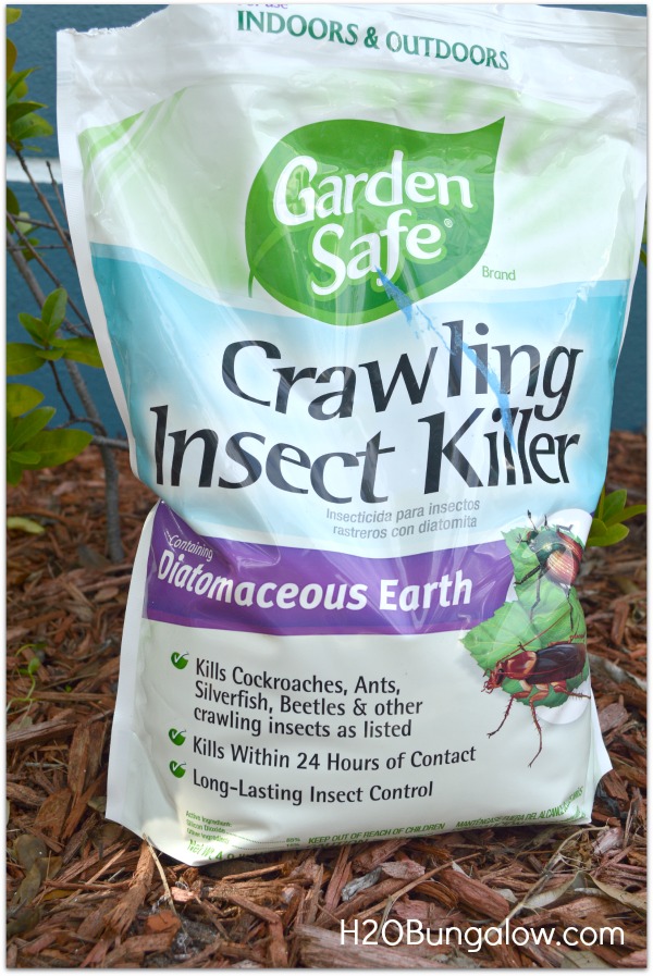 Use diatomaceous earth organic for a non-chemical green pest control solution that works and is harmless to pets and wildlife. It's super inexpensive too! www.H2OBungalow.com #organicpestcontrol #green #greenpestcontrol