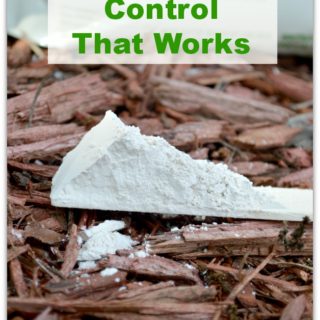 Use diatomaceous earth organic for a non-chemical green pest control solution that works and is harmless to pets and wildlife. It's super inexpensive too! www.H2OBungalow.com #organicpestcontrol #green #greenpestcontrol