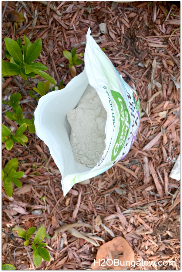 Use diatomaceous earth organic for a non-chemical green pest control solution. It's super inexpensive too! www.H2OBungalow.com #organicpestcontrol #green #greenpestcontrol