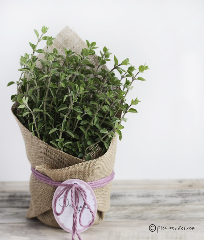 Easter hostess plant gift idea 