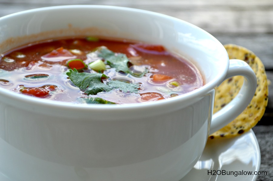 Simple-Freash-Gazpacho-Soup-Recipe-H2OBungalow