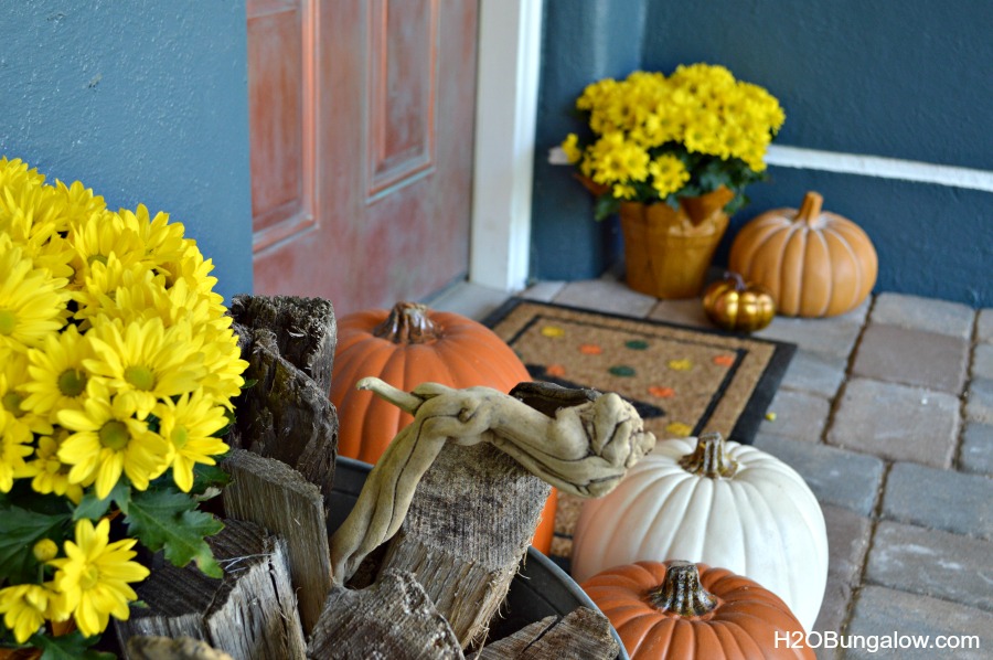 yellow mums and driftwood in a galvanized bucket with pumpkins