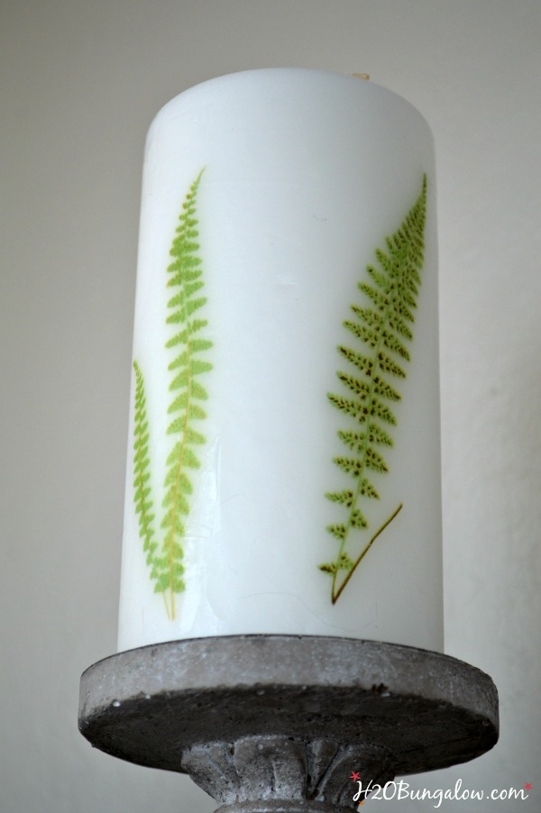 10 minute easy project on how to add a fern image to a candle by H2OBungalow