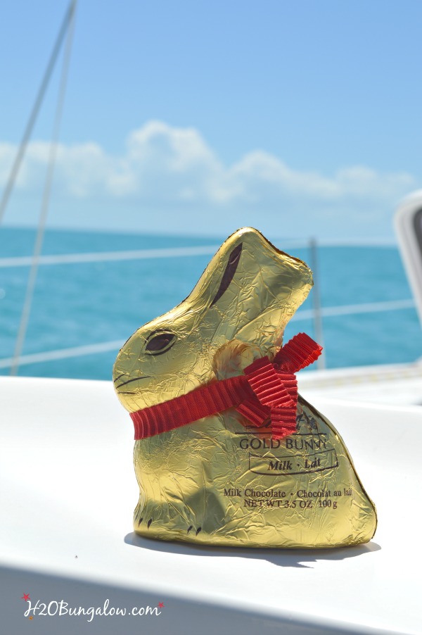Easter bunny in the Gulf of Mexico H2OBungalow