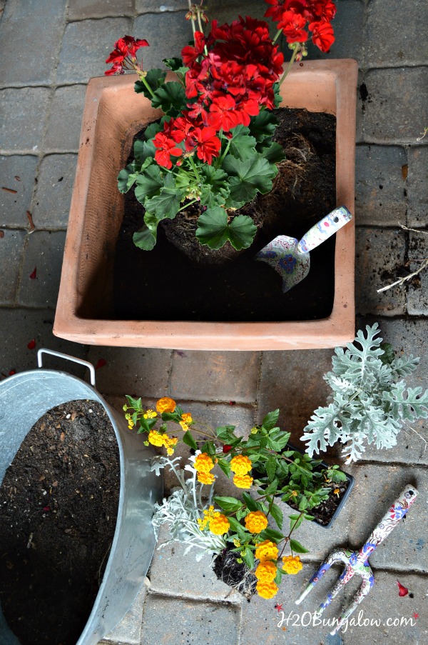 5 tips for beautifu mixed planters that grow and look healthy all season long - H2OBungalow.com #gardening #mixedplanters #flowers 