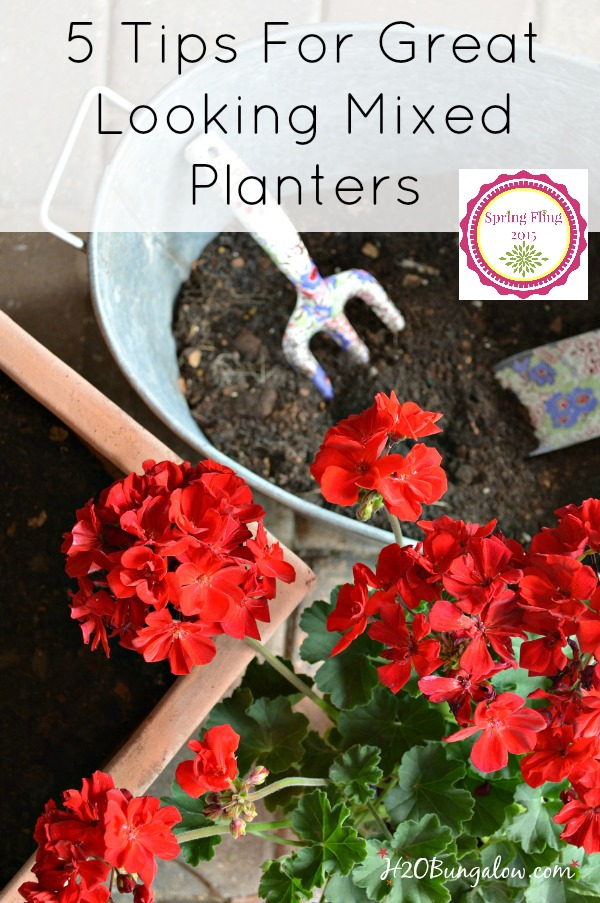 5 tips for beautiful mixed planters. Follow these simple rules of mixed plantings and you'll be rewarded with a long growth season and full healthy plants. H2OBungalow 