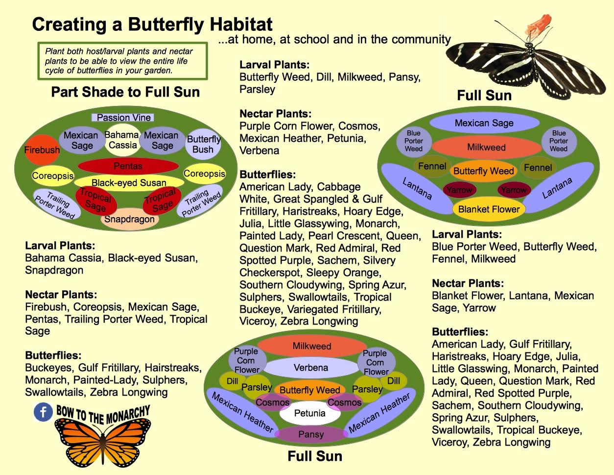 Butterfly Garden Design Layout Outdoor Decor Ideas
