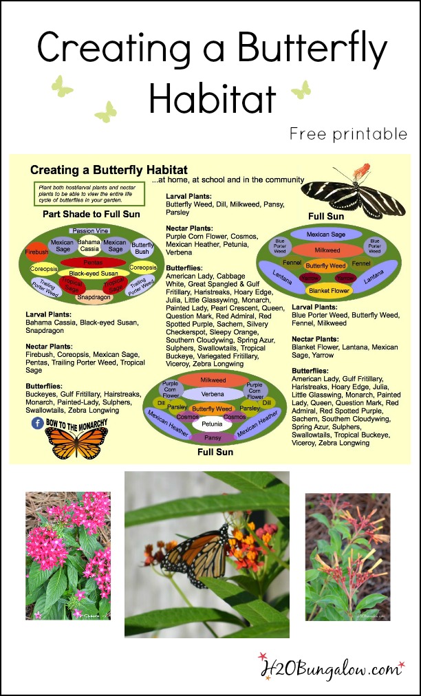 Creating a butterfly habitat free printable with DIY budget landscaping with lots of tips, resources and information H2OBungalow #butterflies #butterflygarden