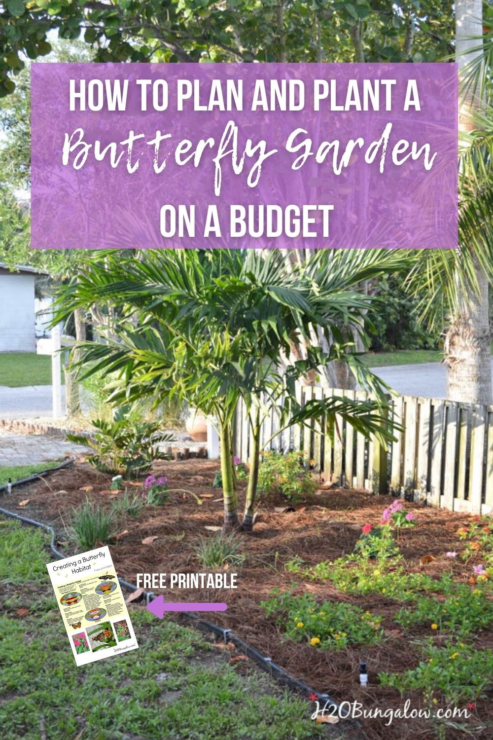 Budget DIY landscaping butterfly garden with text overlay