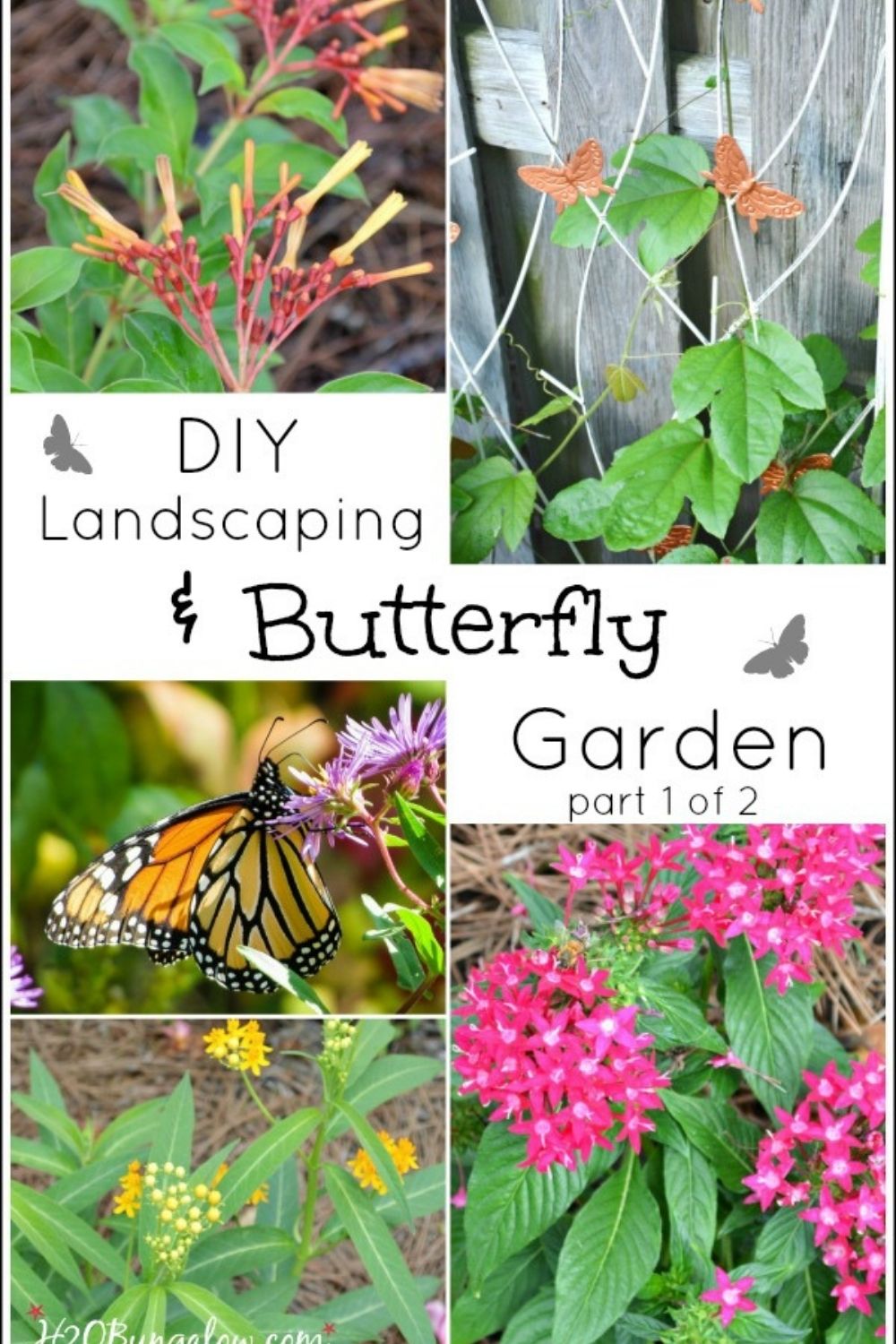 image collage of butterfly garden with text overlay