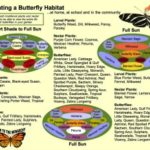 Creating a butterfly habitat free printable H2OBungalow