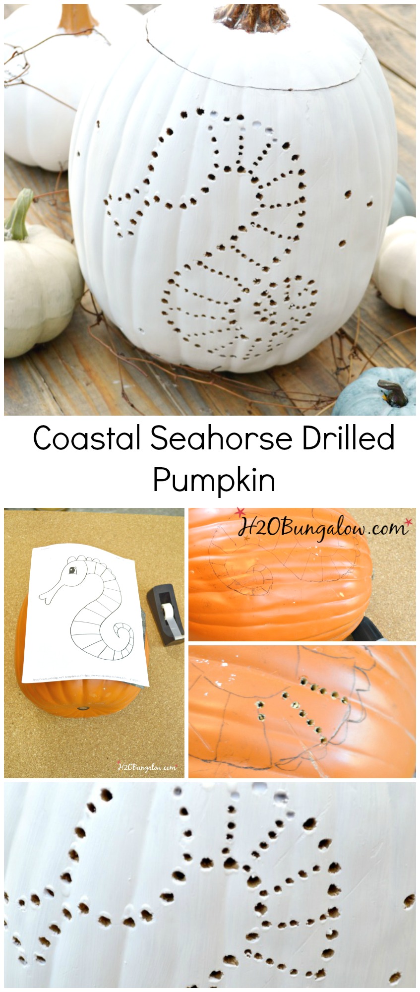 Coastal drilled pumpkin