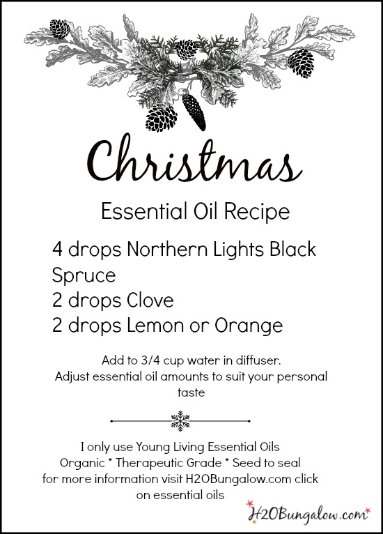 Christmas essential oils Holiday home scent using Young Living organic therapeutic grade essential oils www.H2OBungalow.com 