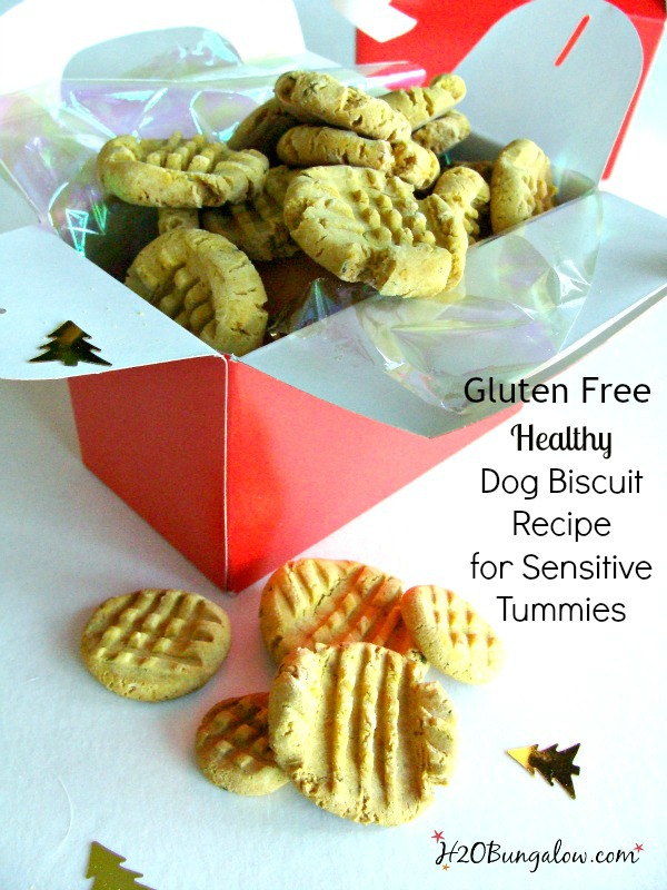 Gluten free dog biscuit recipe that's healthy for your pet, easy to digest and dogs love them! www.H2OBungalow.com 