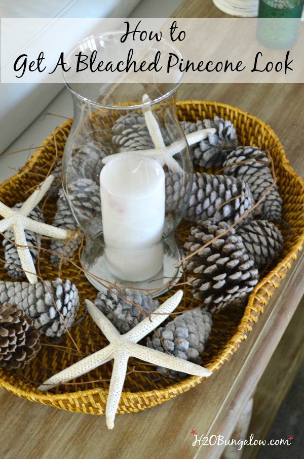 Simple DIY for a gorgeous sun washed look. Get an easy bleached pinecones look without using bleach (it doesn't work well anyway). Using just a few items from your craft supply. H2OBungalow.com 