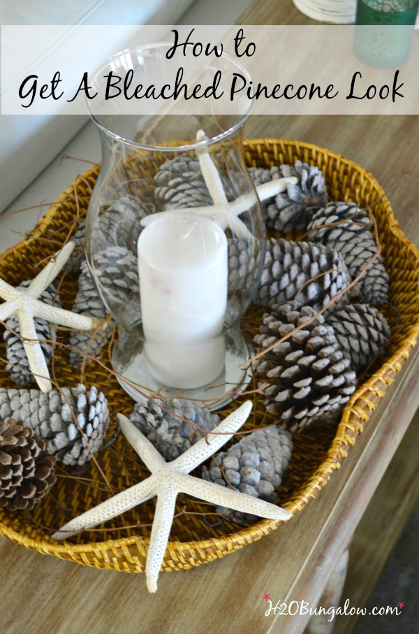 Easiest 5 Minute Bleached Pinecones {without Bleach} - A Piece