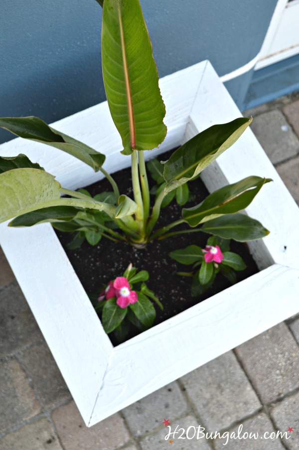 Simple tutorial to make a Key West Style Planter Box for much less than it would cost to purchase! See the rest of the Power Tool Challenge Team's spring projects linked up here too. #powertoolchallengespring H2OBungalow