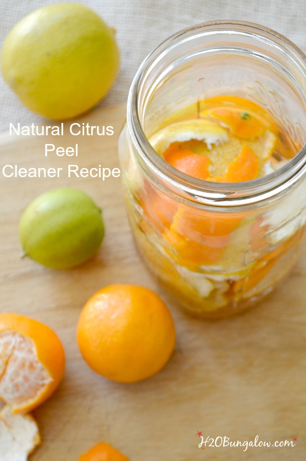 Try this natural citrus peel cleaner recipe for this years spring cleaning. Use the variations for cleaning windows and tough cleaning jobs. Easy to make home cleanser using ingredients from your kitchen. H2OBungalow 