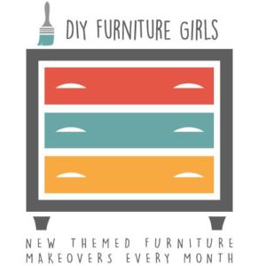 DIY Funiture Girls logo