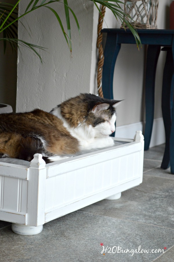Free DIY small pet bed plans for a cat or small pet. Simple tutorial with steps and photos for the intermediate woodworker or power tool user.