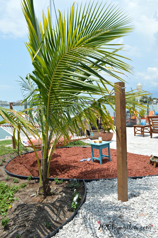 view from behind a palm plant of the hammock and posts with ocean view in the background