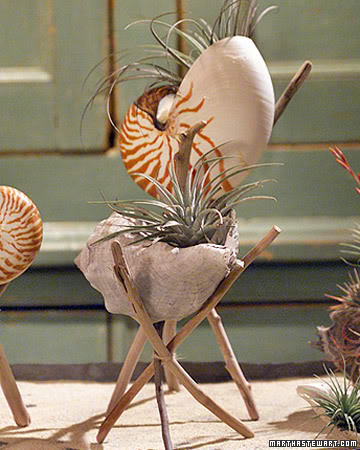 22 super creative DIY seashell projects you can make will inspire you to pull out your stash of seashells and start creating and decorating your home today! H2OBungalow 