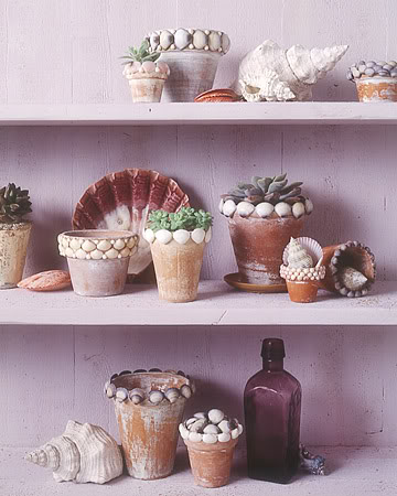 Make a Seashell Planter by The Everyday Home www. - The  Everyday Home