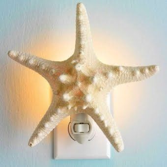 22 super creative DIY seashell projects you can make will inspire you to pull out your stash of seashells and start creating and decorating your home today! H2OBungalow 