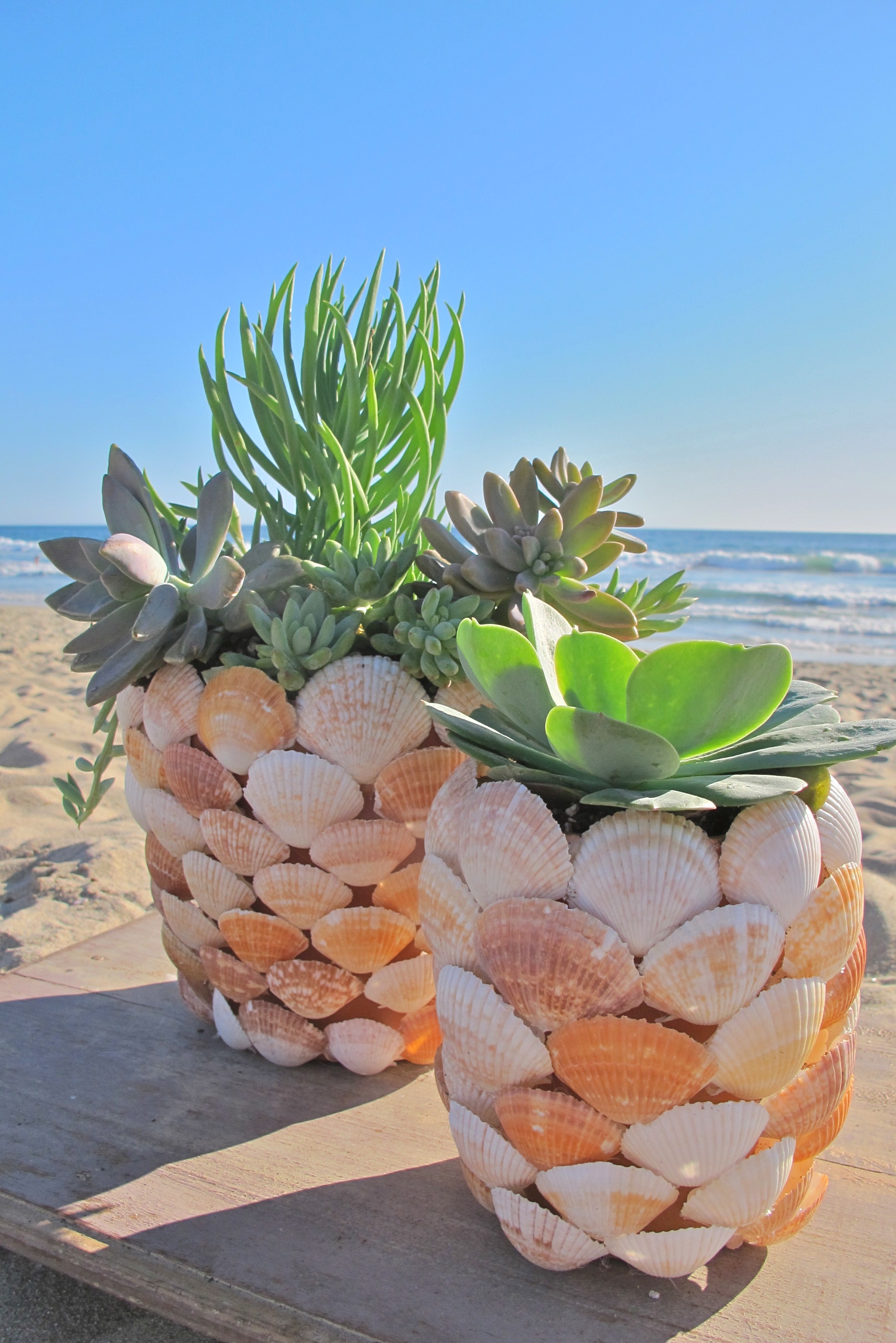 22 super creative DIY seashell projects you can make will inspire you to pull out your stash of seashells and start creating and decorating your home today! H2OBungalow 