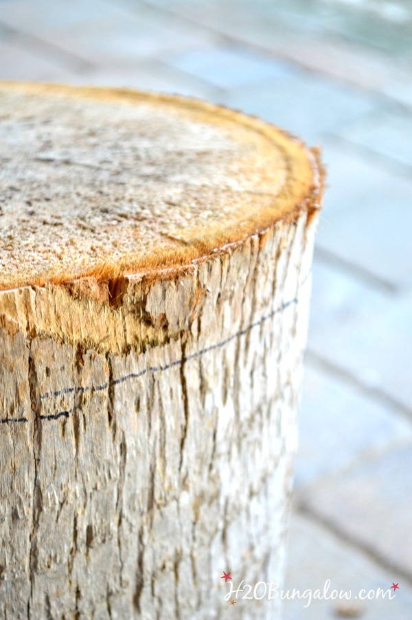 tree-stump-table-H2OBunglow