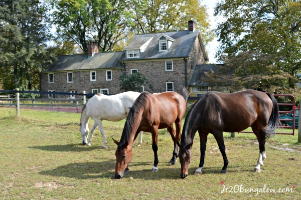 horses-and-stone-farmhouse-h2obungalow