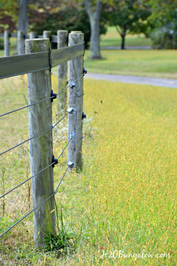 Take a drive along with me and see my favorite photos of going home to the beautiful countryside that I call home. H2OBungalow 