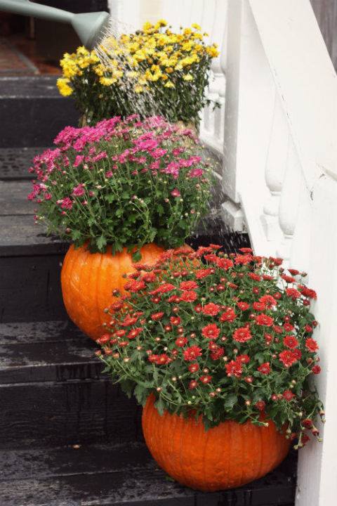 Simple pumpkin decorating inspiration photos with several styles from rustic to elegant. Find easy to duplicate pumpkin decorating ideas here.