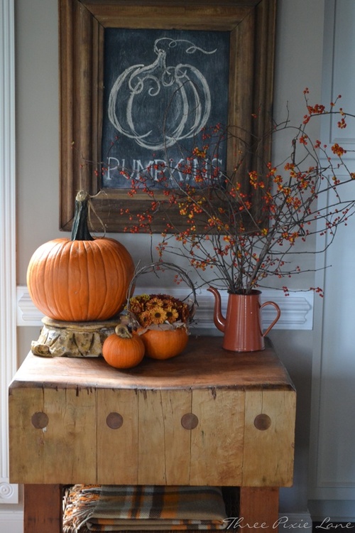 pumpkin-vignette