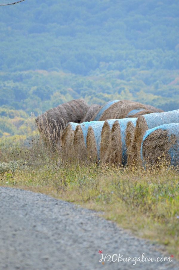 Take a drive along with me and see my favorite photos of going home to the beautiful countryside that I call home. H2OBungalow 