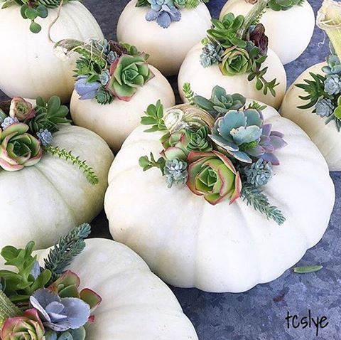 Simple pumpkin decorating inspiration photos with several styles from rustic to elegant. Find easy to duplicate pumpkin decorating ideas for fall and the holidays. H2OBungalow