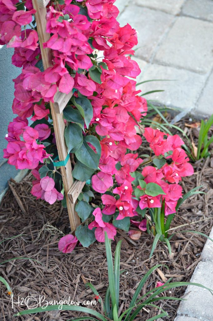 Tutorial for DIY self watering planter converts a sprinkler head or works from a garden hose to eliminate hand watering. Automatically water planters.