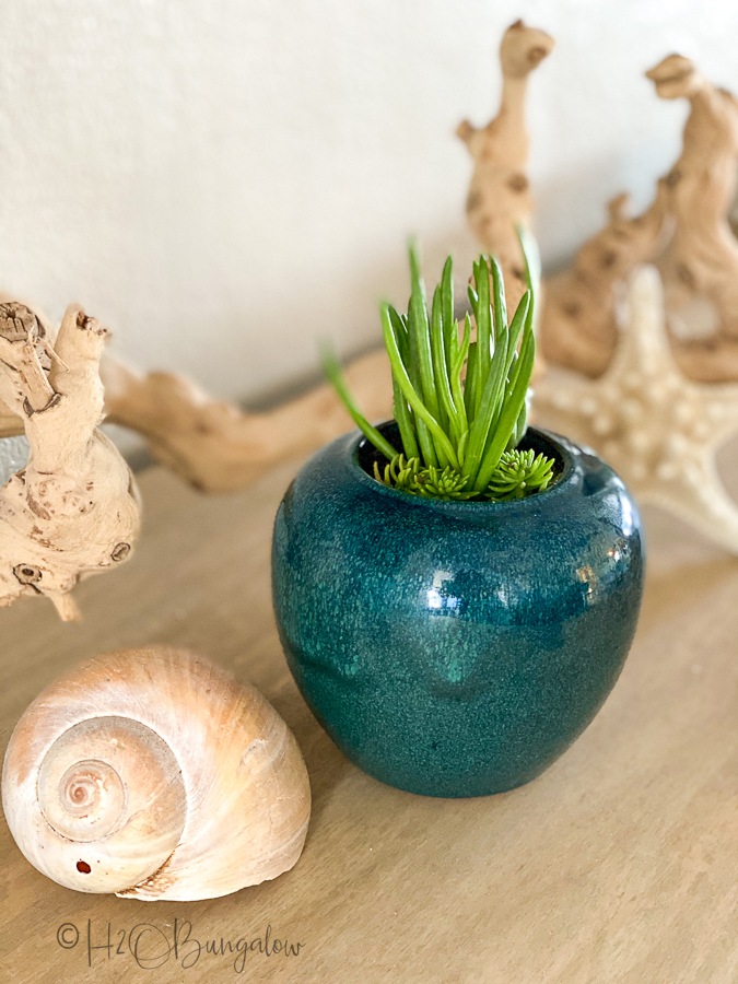 tall plant in ceramic container drilled to make a planter 