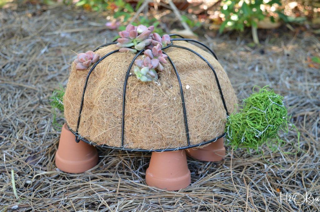 close up of turtle topiary with clay pot feet and succulents planted in it