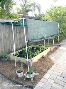 How To Build a Raised Vegetable Garden Bed - H2OBungalow