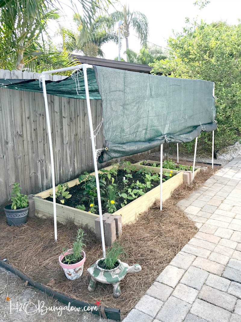 shade structure over garden beds using a tarp