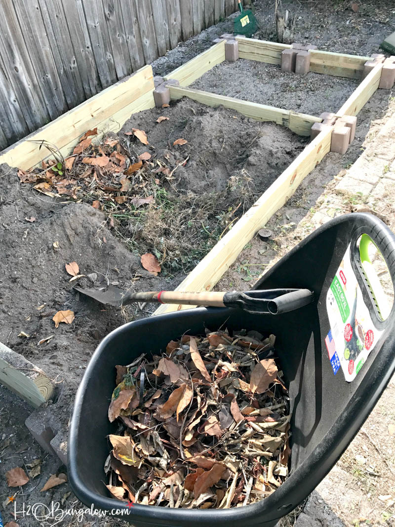 weeds and dried leaves in a wheelbarrow next to raised garden bed