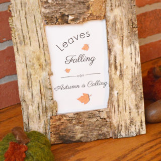 Birch bark picture frame sitting on a wood mantle with a green fabric pumpkin