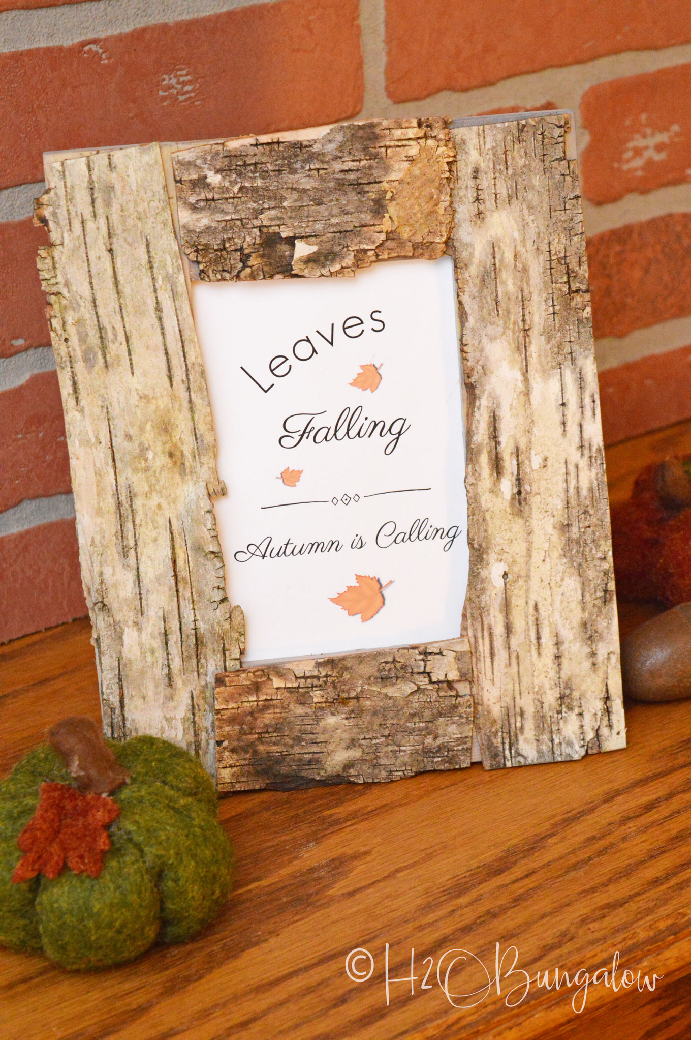 Birch bark picture frame sitting on a wood mantle with a green fabric  pumpkin