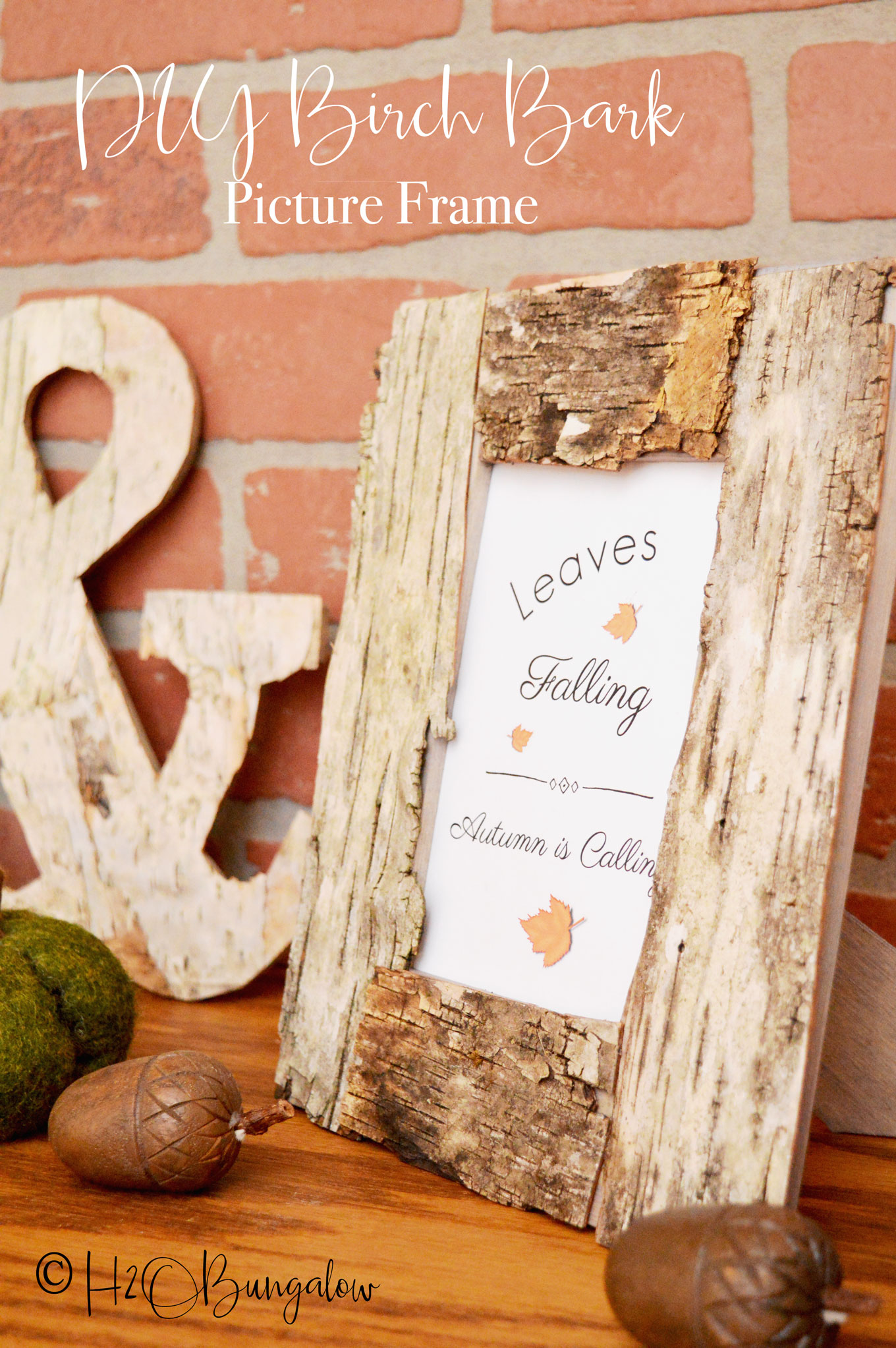 Birch bark picture frame and ampersand with acorns sitting on mantle against brick chimney with text DIY Birch Bark Picture Frame