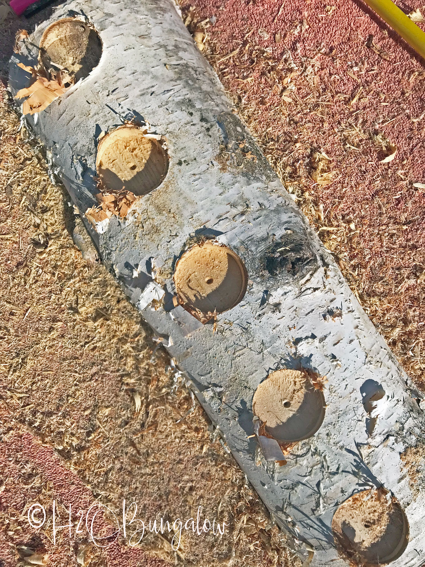 log sitting on the ground with five holes cut for candles